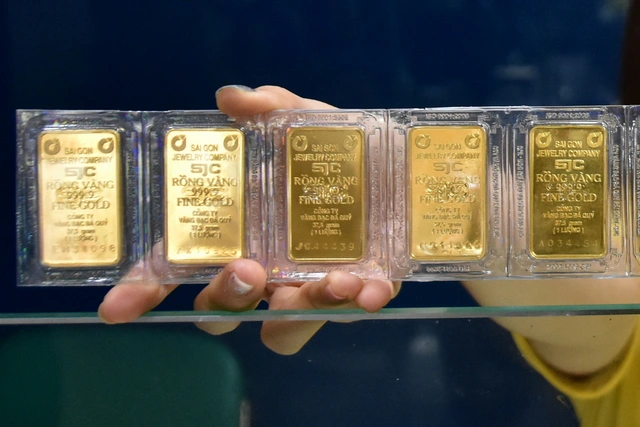 Sc Gold SJC Gold Hits Record of 126.6 Million VND/tael: Opportunity or Risk for ...